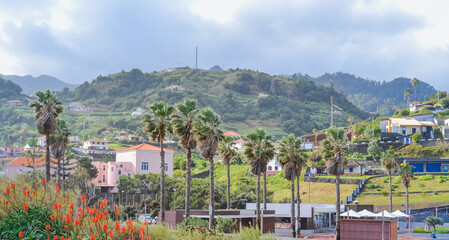 Madeira, Portugal, 12.12.2025: Palm Trees and Hillside Houses in Coastal Town
