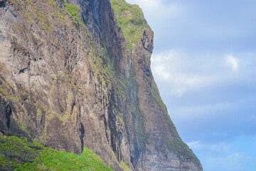 Coastal Cliffs with Flowers and Atlantic Ocean