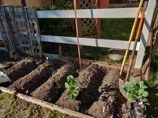 gardening tools in garden