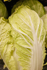 A close-up of Napa cabbage