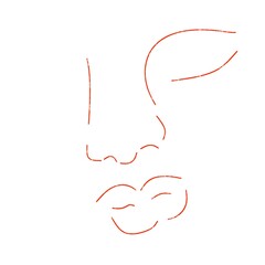 illustration of a face minimal drawing 