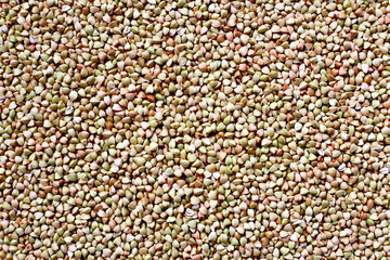 Fototapeta premium Raw buckwheat groats, a gluten-free superfood rich in fiber, protein, and minerals