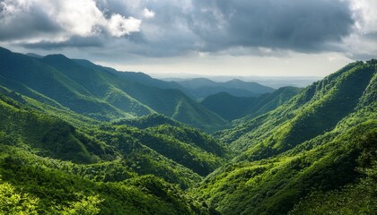 lush green mountains covered in dense vegetation
