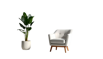 Modern minimalist interior scene of a potted plant and a white armchair on black backdrop