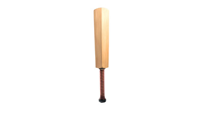 A classic cricket bat, standing upright against a stark black background, full detail