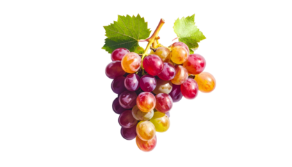 A cluster of colorful grapes, some red, purple, and green with leaves, on black