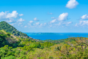 坊主森付近より古宇利島を望む