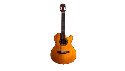 An acoustic guitar with a cutaway is centered against a stark black background