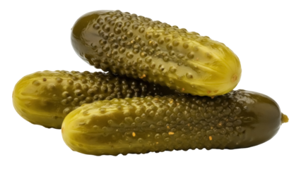 Three pickled cucumbers isolated PNG, dill pickles with bumpy texture on transparent background, fermented food for sandwiches and snacks
