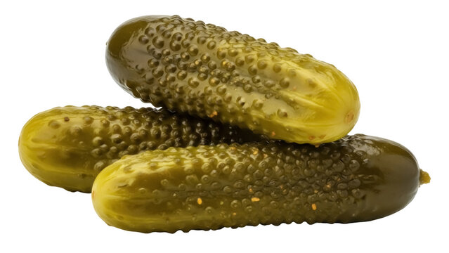 Three pickled cucumbers isolated PNG, dill pickles with bumpy texture on transparent background, fermented food for sandwiches and snacks