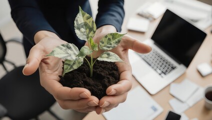 Person holding a small plant in hands near laptop on desk.