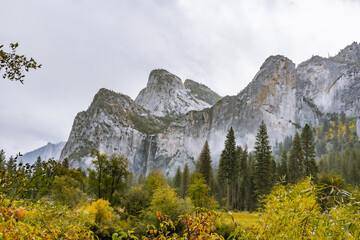 Massive granite cliffs rise above pine trees and meadow vegetation under cloudy skies in Yosemite National Park, California. © Zhiqi