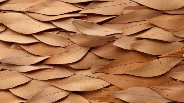 Fallen Leaves Composition: A close-up shot showcasing the beauty of the autumn, with a mosaic-like pattern created by overlapping fallen leaves, with natural textures and colors