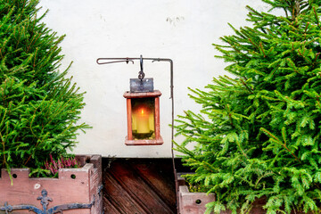 Lantern hanging between two lush evergreen trees, creating a warm and inviting atmosphere for the Christmas advent season with copy space