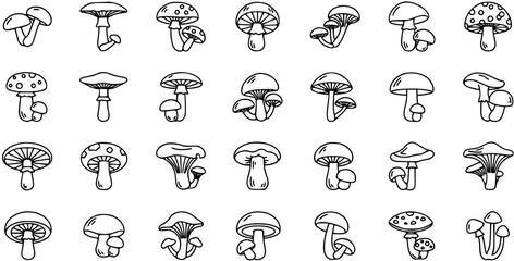 Hand-drawn mushroom doodle icon set. Various types of fungi outlines, black and white illustrations for nature, autumn, and food designs. © vectorcorp