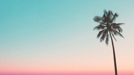 breeze. A solitary coconut tree with textured trunk stands against a gradient sky, evoking tropical serenity. travel magazines, destination branding, designed for travel destination branding.
