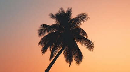 breeze. A solitary coconut tree with textured trunk stands against a gradient sky, evoking tropical serenity. travel magazines, destination branding, designed for travel destination branding.
