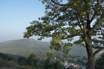 A scenic viewpoint in Yercaud, Tamil Nadu. Panoramic views of the mountains.