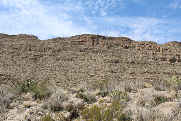 Cliff at Big Bend National Park in Texas with desert plants in front of it with cirrocumulus clouds