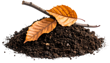 Close-up of rich, dark soil with two autumn leaves and a twig resting on it