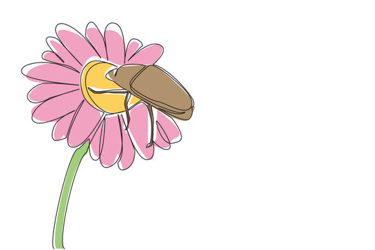 Simple continuous line drawing of a june bug on a daisy flower, symbolizing nature concept and insect life, created to celebrate June Bug Day as an international event design theme.