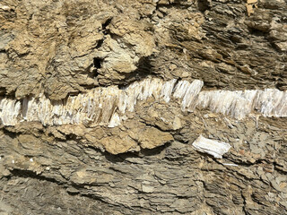Fibrous gypsum (selenite) layer in sedimentary rock, Eilat Mountains, Israel