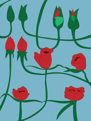 Wallpaper of Phases of Roses