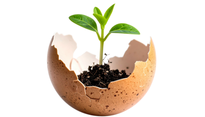 A tender green sprout emerging from a cracked eggshell filled with rich soil