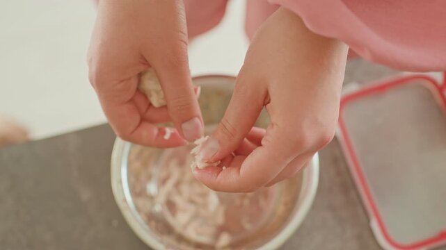 Closeup Of Hands Transferring Moist Food Into Bowl, Detailed Image Of Opening Wet Food Packet In Morning Light, Capturing Gentle Act Of Hands Pouring Moisturerich Food Into Stainless Bowl At Dawn