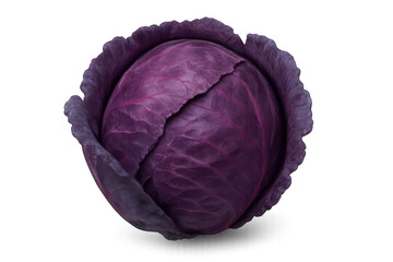Obraz premium Whole fresh red cabbage showing vibrant purple leaves, a healthy raw vegetable for cooking and diet, isolated on transparent background