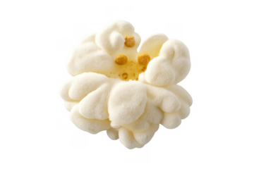 Popcorn kernel in bloom on transparent background, fluffy snack for cinema, movie night, entertainment, junk food