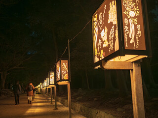 奈良公園 参道を照らす幻想的な和の灯り