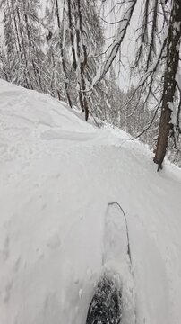 VERTICAL, POV: Snowboarder weaving between snowy trees in deep pow. Snow sprays up around the lens as the rider charges a backcountry line through the alpine forest. Fun winter day for freeriding.
