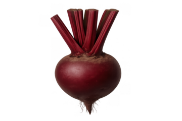 Beetroot root vegetable with green stems showing fresh raw organic food on transparent background