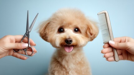 Trimmed poodle with a joyful expression in grooming salon, surrounded by hands holding scissors and comb, showcasing pet grooming artistry
