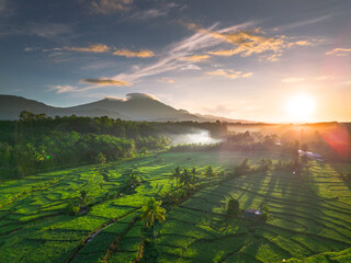 Beautiful morning view in Indonesia, panoramic landscape of rice fields with mountain ranges and clear sky