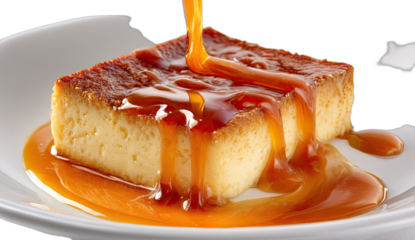 A rich, creamy dessert square drizzled generously with golden caramel sauce