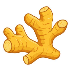 cartoon ginger root vegetable culture herbal nature healthy flat color vector illustration template design