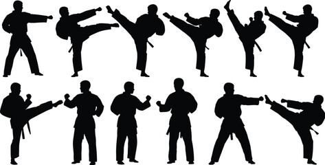 Martial arts silhouettes performing karate and taekwondo moves, athletes in action poses, combat sport illustration, fitness training design, vector artwork collection