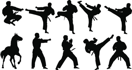 Martial arts silhouettes performing karate and taekwondo moves with horse figure, athletes in action poses, combat sport illustration, vector artwork collection