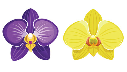 A beautiful illustration of a bouquet of purple and yellow orchids on a white background. Vector illustration.