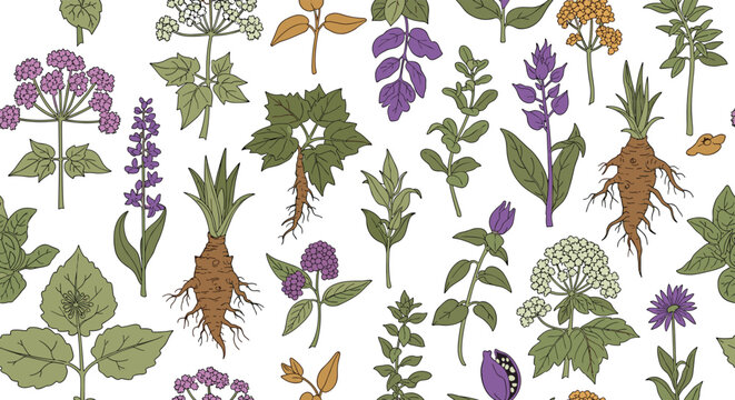 A colorful seamless pattern of various medicinal plants and roots, such as mandrake and valerian, drawn in a vintage botanical style.