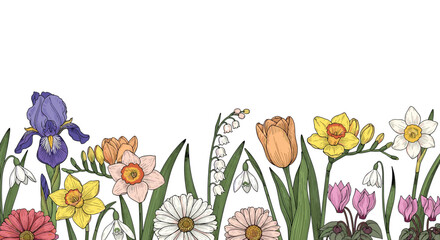 Seamless horizontal border with colorful hand-drawn spring flowers like iris, tulip, and daffodil on a white background.