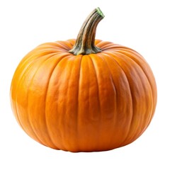 Whole orange pumpkin for halloween or autumn harvest isolated on white