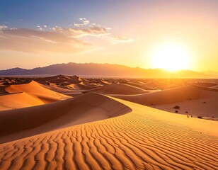 Golden hour casts warm light on endless sand dunes, with distant mountain range