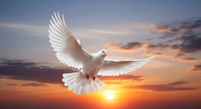 A majestic white dove with outstretched wings soars gracefully against a vibrant sunset sky. - Powered by Adobe