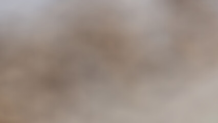 Abstract background, large photograph of ducks raised by farmers for subsistence in central Thailand. Light gray gradient. Water, nature, birds, animals, creatures, sand, texture, outdoors, birds, gro