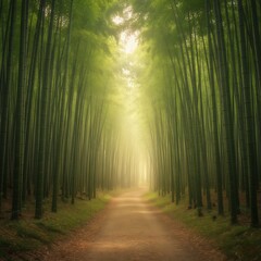 Obraz premium Ethereal Silence of the Highlands