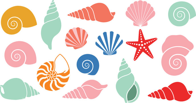 Collection of colorful flat vector seashells and starfish icons isolated on white background for summer beach vacation and marine nature design