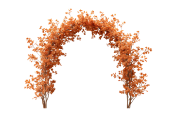 Orange Leafy Archway with Black Background and White Outline leaves foliage, Png, Isolated on Transparent Background, Cut Out